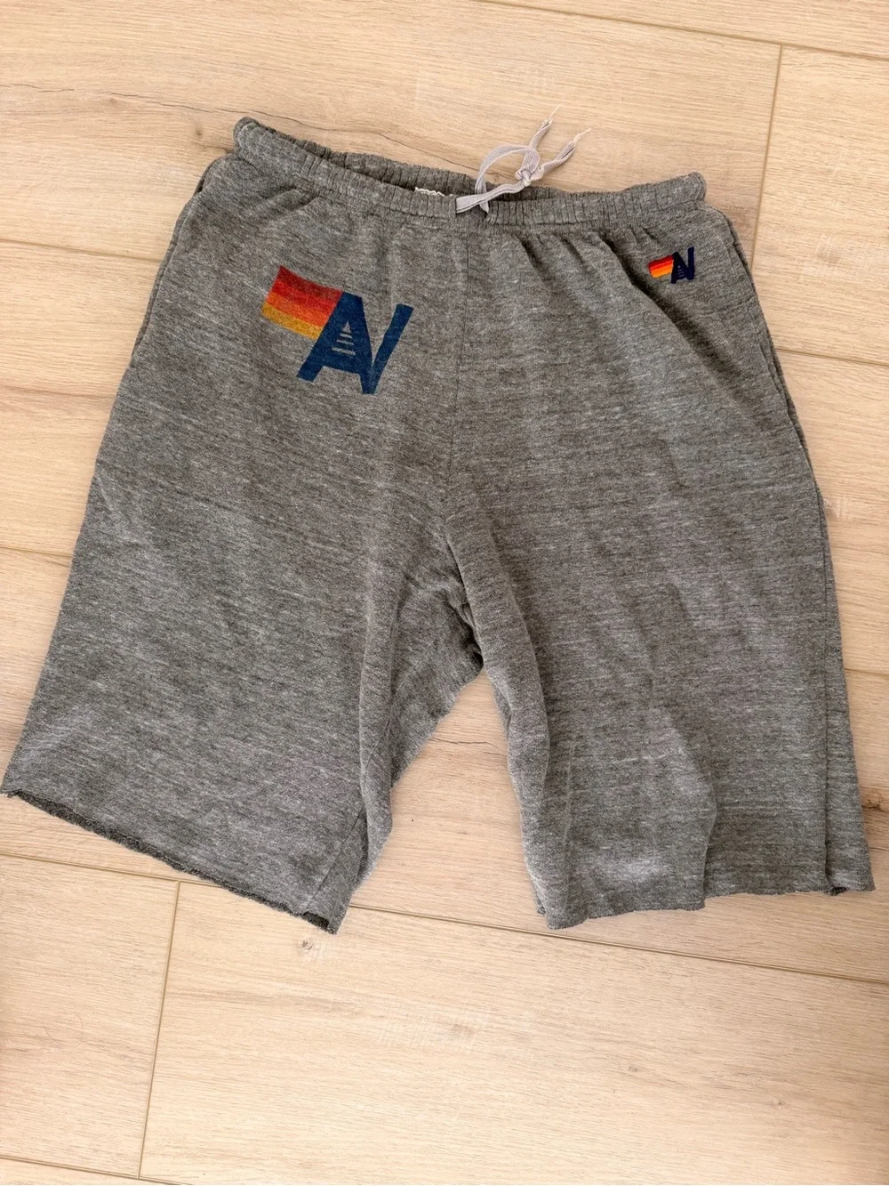 Aviator Nation Gray Sweatshorts with Retro Orange Logo - Picture 1 of 3